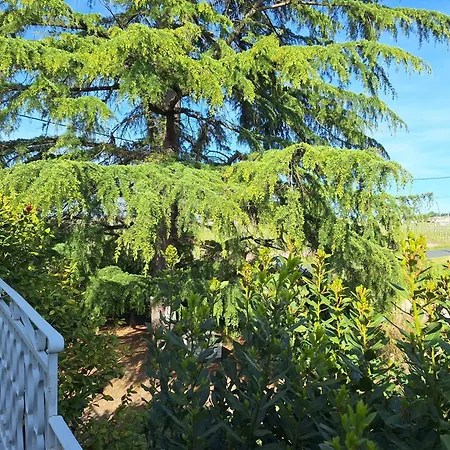 Les Plantes Maison Entière *