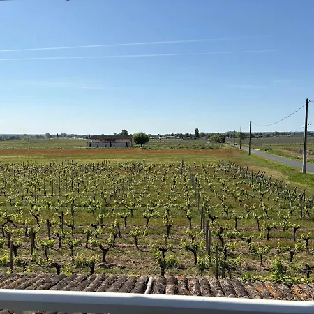Les Plantes Maison Entière Saint-Émilion